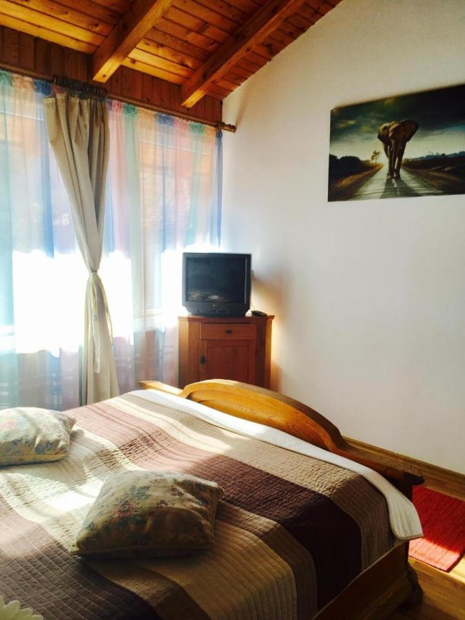 Rolling Stone Hostel Brasov Ngoại thất bức ảnh