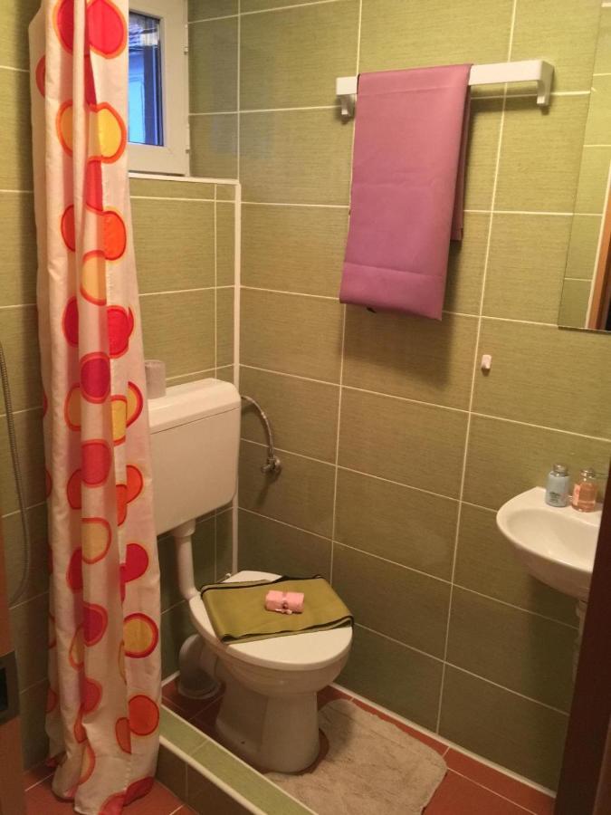 Rolling Stone Hostel Brasov Ngoại thất bức ảnh