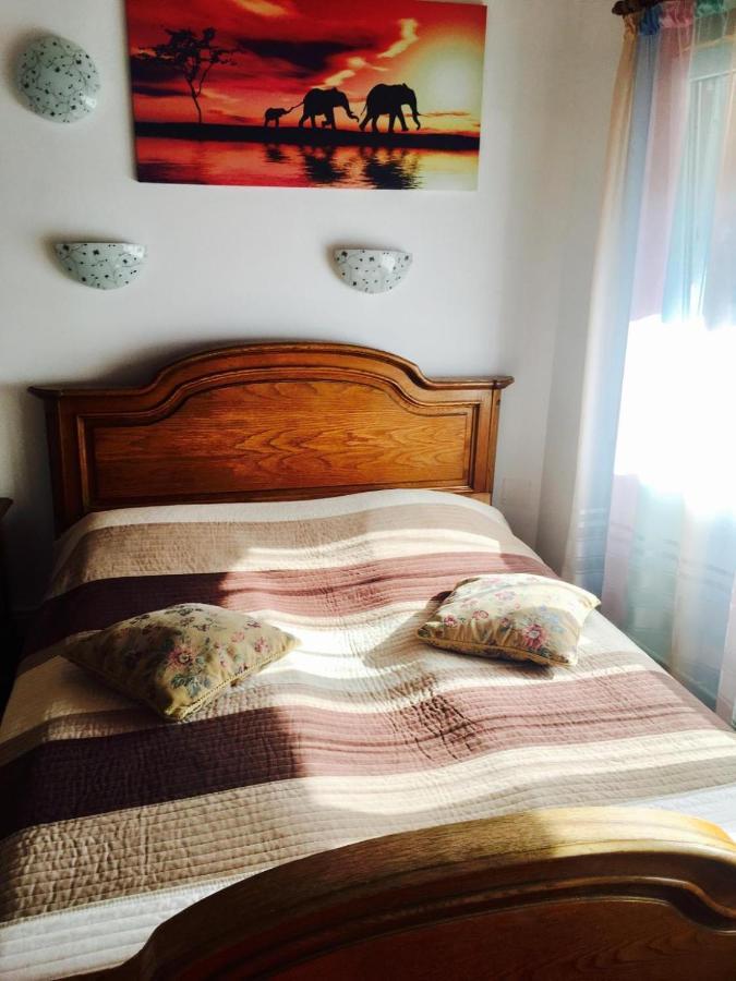 Rolling Stone Hostel Brasov Ngoại thất bức ảnh