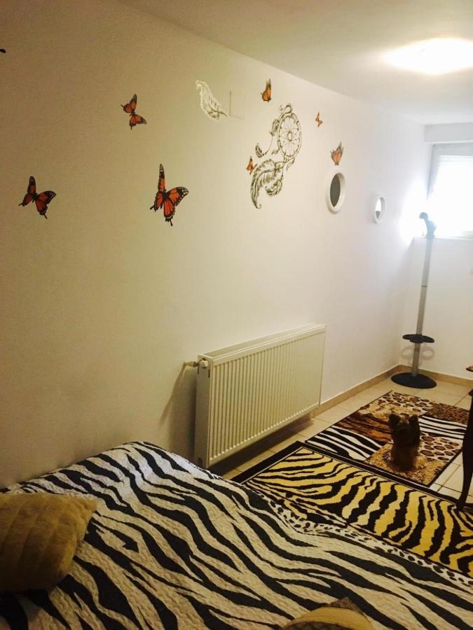 Rolling Stone Hostel Brasov Ngoại thất bức ảnh